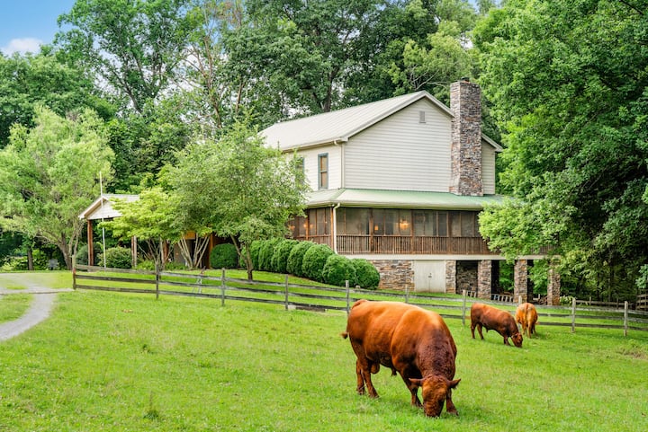 Fabulous Farmhouse Near Clarksville, Tn - Cedar Hill, TN