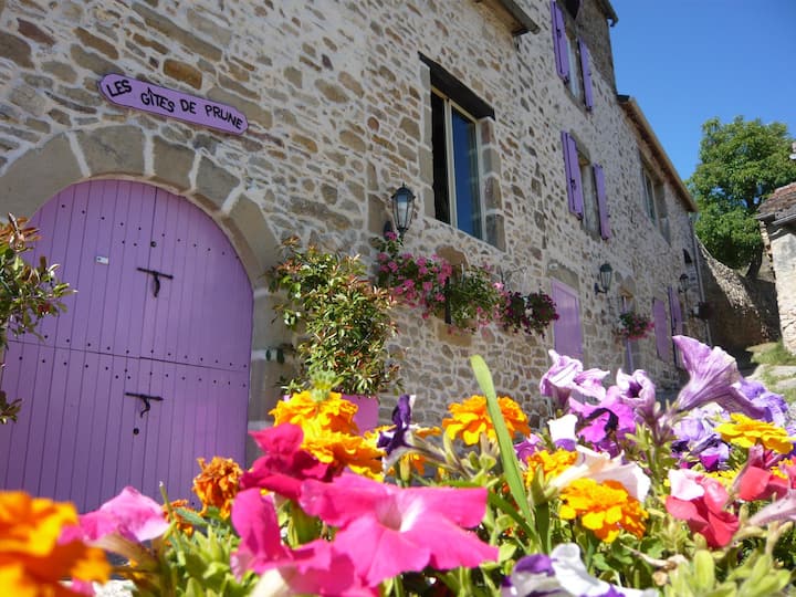 Gîtes De Prune à Nant Sud Aveyron - Nant
