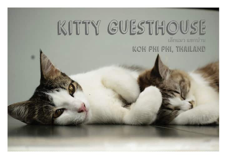Kitty Guesthouse - Ko Phi Phi Don
