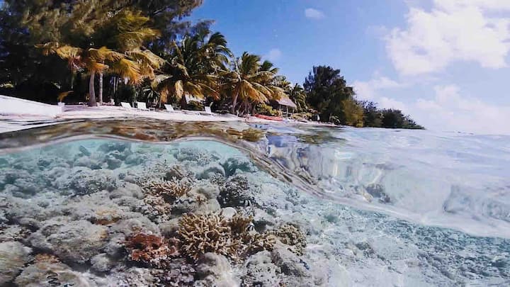 Private Island Getaway - Bora Bora