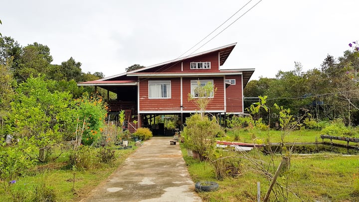 Bed And Breakfast Homestay In Bario - Bario