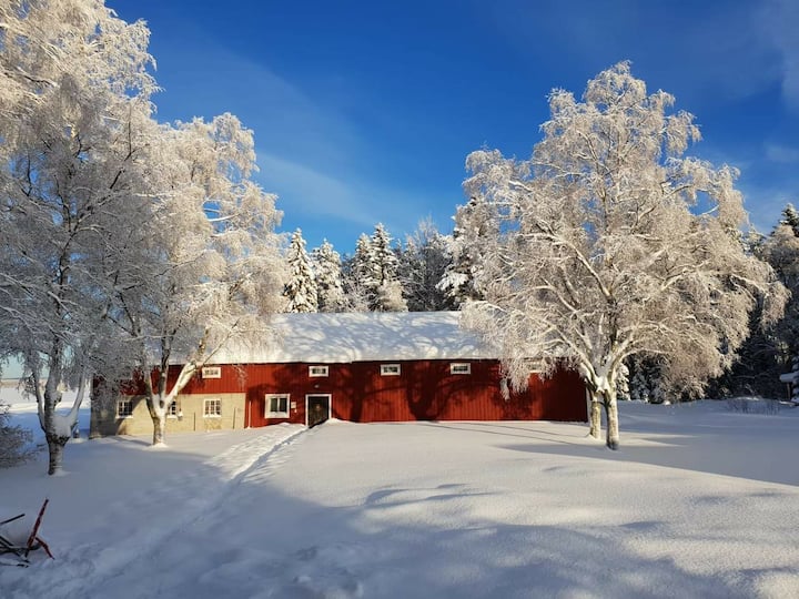Loppis & Vandrarhem I Naturreservat - Umeå