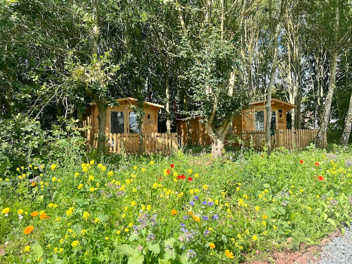 “The Sanctuary” Nestling In Tranquil Woodland - Ross-on-Wye