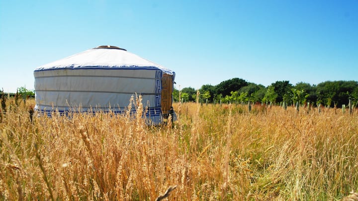 Back To Nature Yurt Experience At Our Eco Retreat - Cornwall