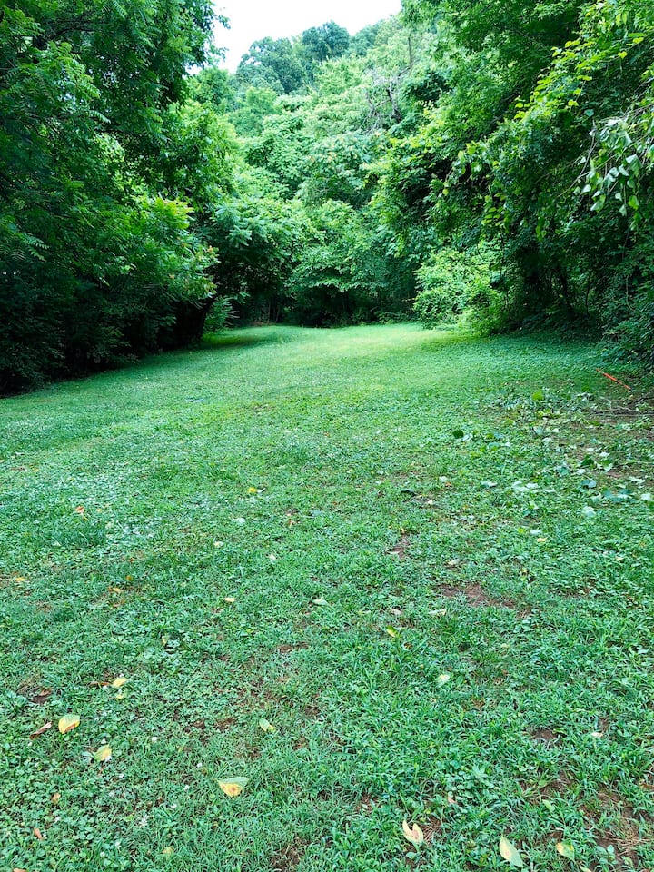 Large Private Backyard For Tent & Camping - Knoxville, TN