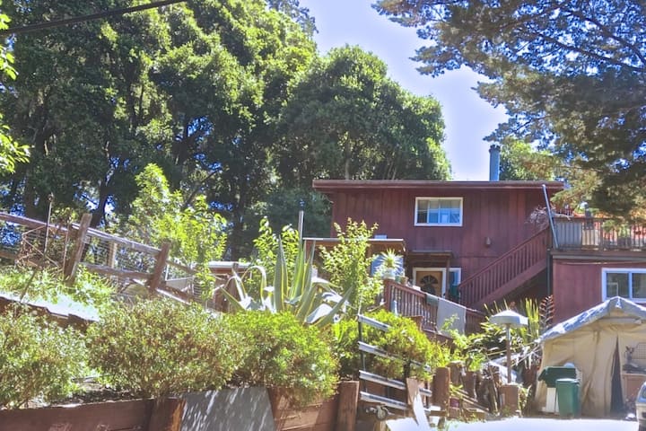 Mountain Home In Redwoods:  Canyon Views & Sunsets - Pescadero, CA