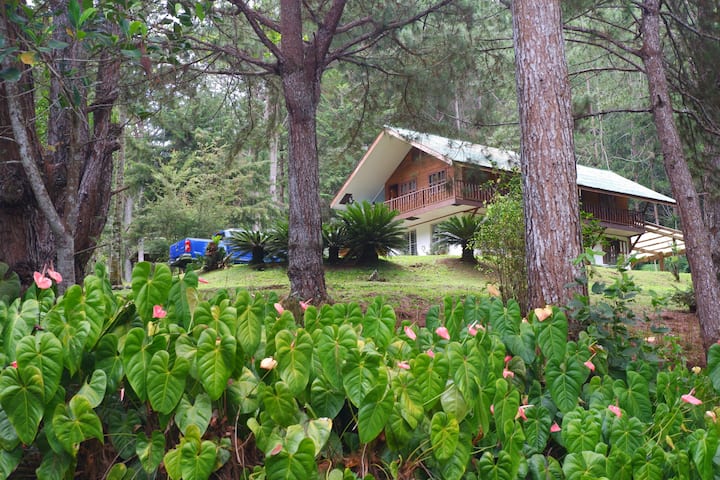 Moss & Grove Charming Family Cabin In Kapatagan - Digos City