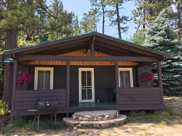 #4 Cabin Near Mt.rushmore At Pine Rest Cabins - Hill City, SD