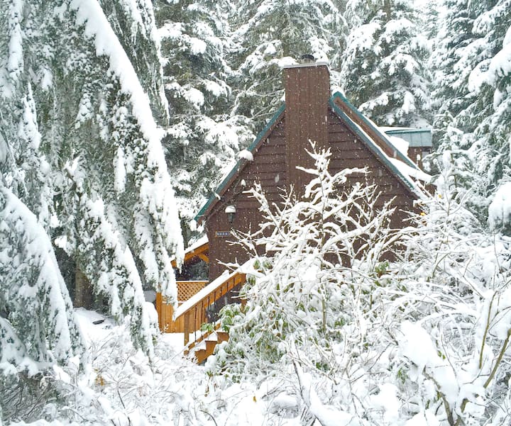 Wonderful Cabin With Hot Tub & Fireplace In Govy - Mount Hood, OR