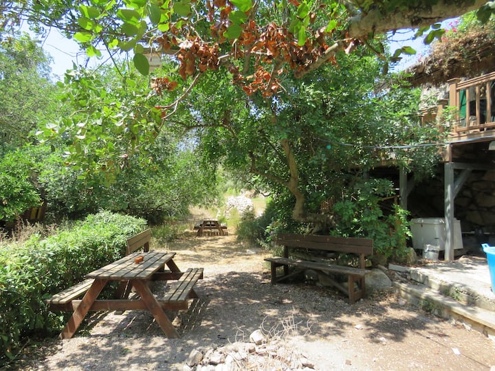 Quiet Secluded Log Cabin In Valley - Pembroke, Malta