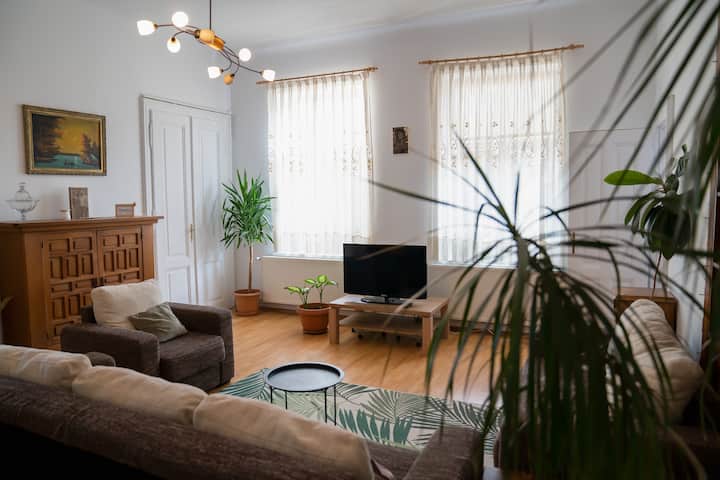 Huge Comfortable Fully Equipped Home In Old Town - Ocna Sibiului