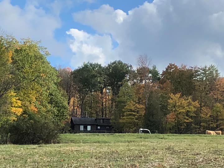 The Cabin At Pinneo Hill Farm, Hanover, Nh - ハノーバー, NH