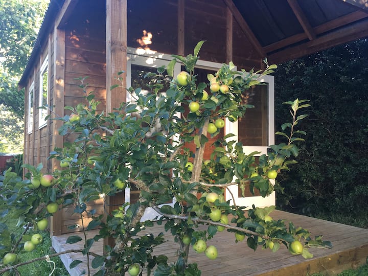 Green Apple Cabin - Lower Hutt