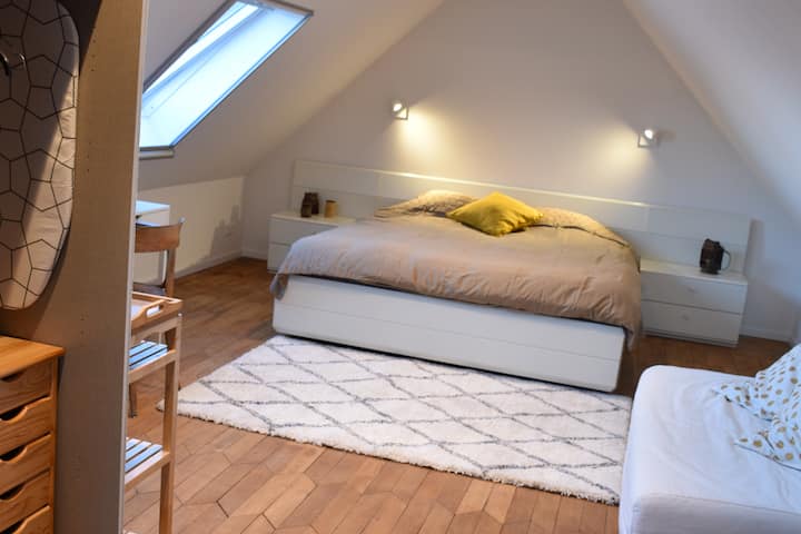 Spacious And Bright Attic Room On The Water - Mechelen