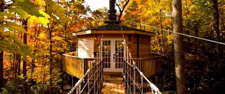 Romantic 1 Bedroom Tree House! - West Virginia