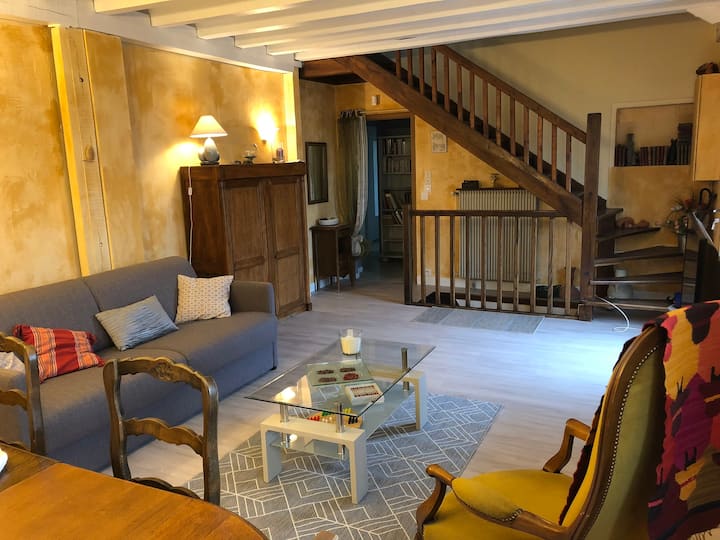 Large Terraced House, With Garden, In Quiet Area - Dijon