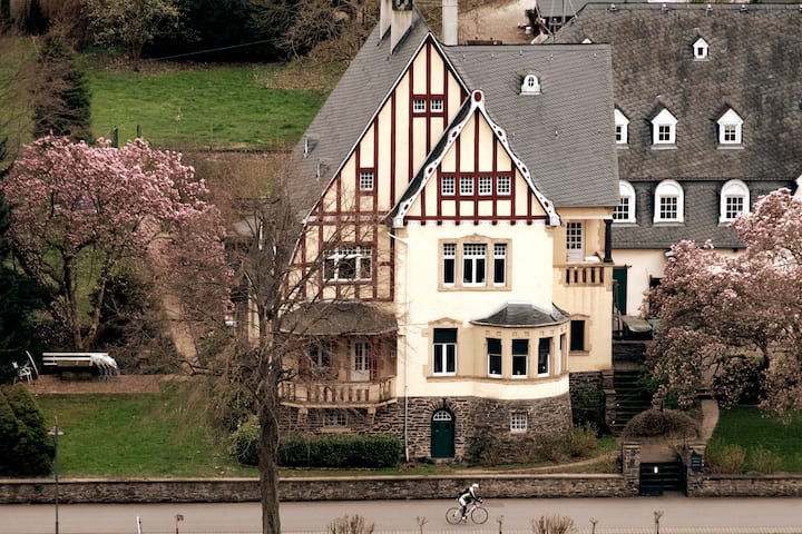 Historic Vineyard Villa, Ecofriendly And Luxury - Bernkastel-Kues