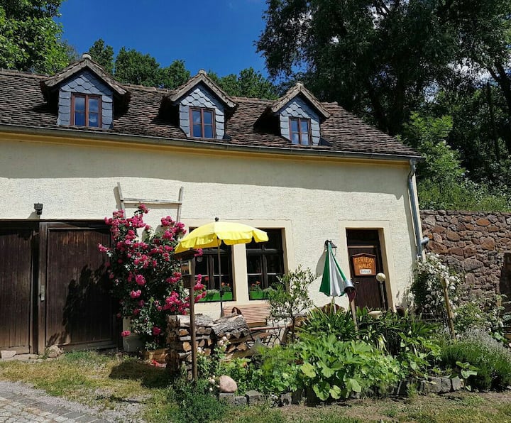 Wassermühle Im Wildromantischem Schanzenbachtal - Grimma