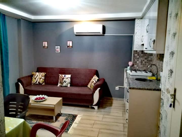 1+1 Apartment In Side - 시데