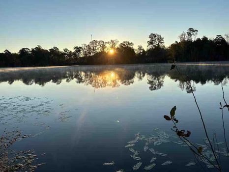 Lu Mil Vineyard, Elizabethtown airbnb, hotels and vacation rentals