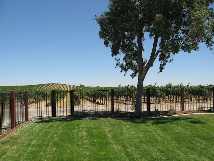 Vineyard View In The Heart Of Our 80 Acre Vineyard - San Miguel, CA