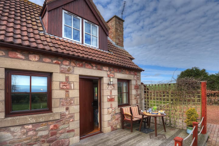 Alemill Holiday Cottage // Studio - St. Abbs