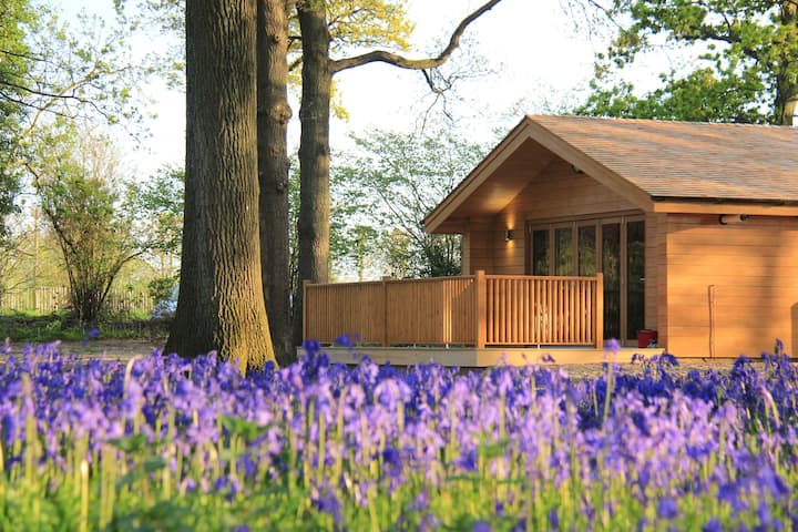 Bluebell Lodge In West Sussex, Close To Brighton - Steyning