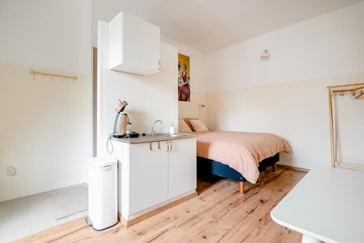 A Light, Spacious, Private Room & Private Shower - Rijswijk