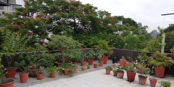 Spacious Room, Wifi , N A Beautiful Terrace Garden - Indore