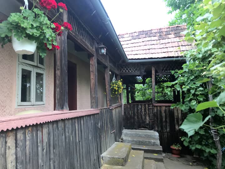 Transylvanian Old House - Mureș