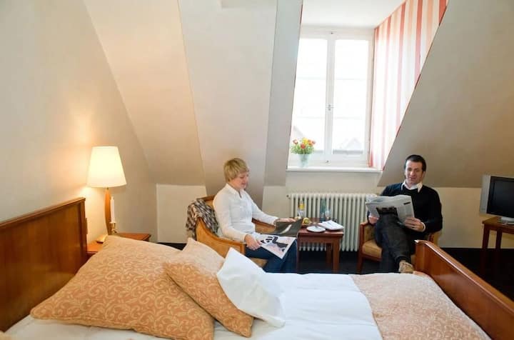 Double Room Comfort - Freiburg im Breisgau