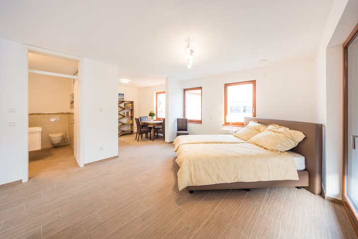 Elmis Boardinghouse  Apartment Komfort Xl Ca. 47qm - Schriesheim