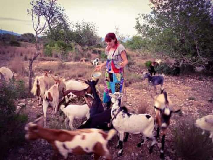 The Goat Escape - Santa Bárbara, España