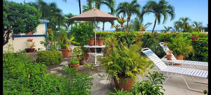 Cozy Island Home Away From Home - Christiansted