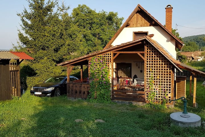 Transylvania Village House (Entire House !) - Județul Bistrița-Năsăud