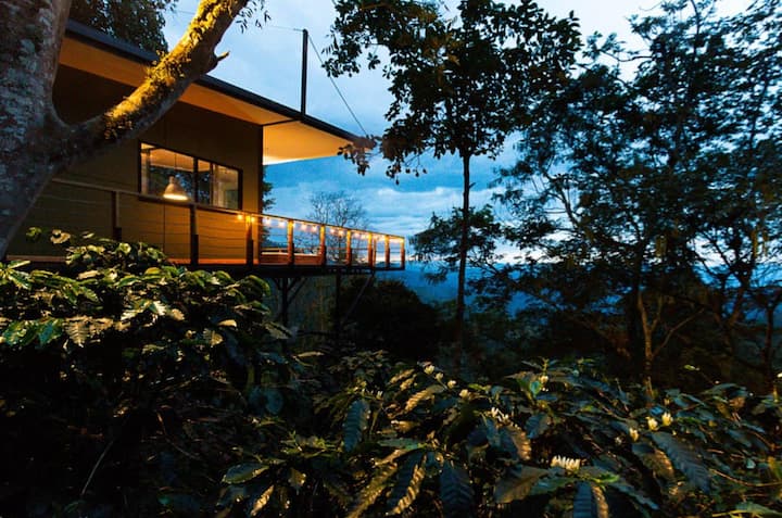 Selva Luxury Cabin - San Francisco - Colombia