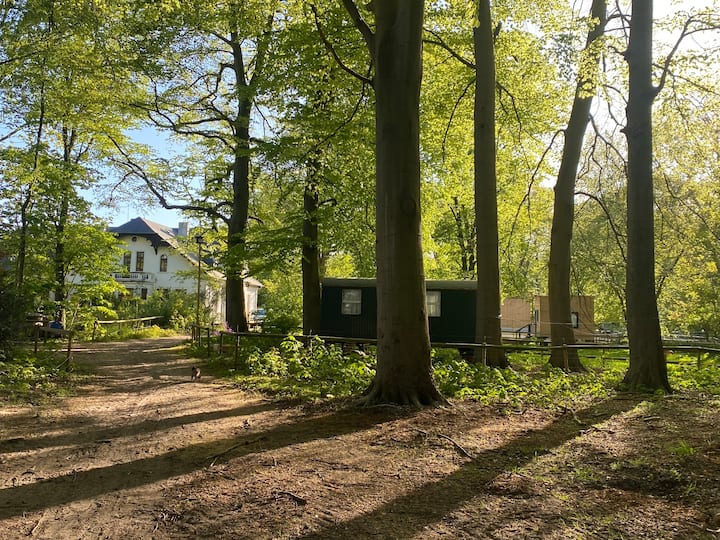 Wunderschöner Bauwagen Im Wald Auf Dem Reiterhof - Loxstedt