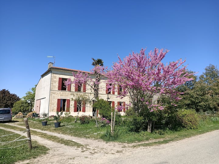 Maison En Pierre Sur Les Coteaux - Roquebrune