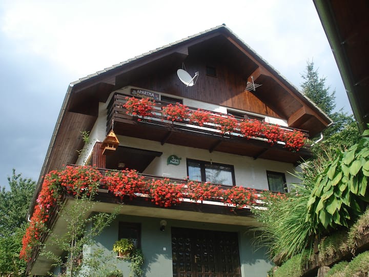 Apartment Podlogar Golica Near Bled - Jesenice