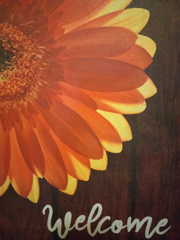 Sunflower Room - Des Moines, IA