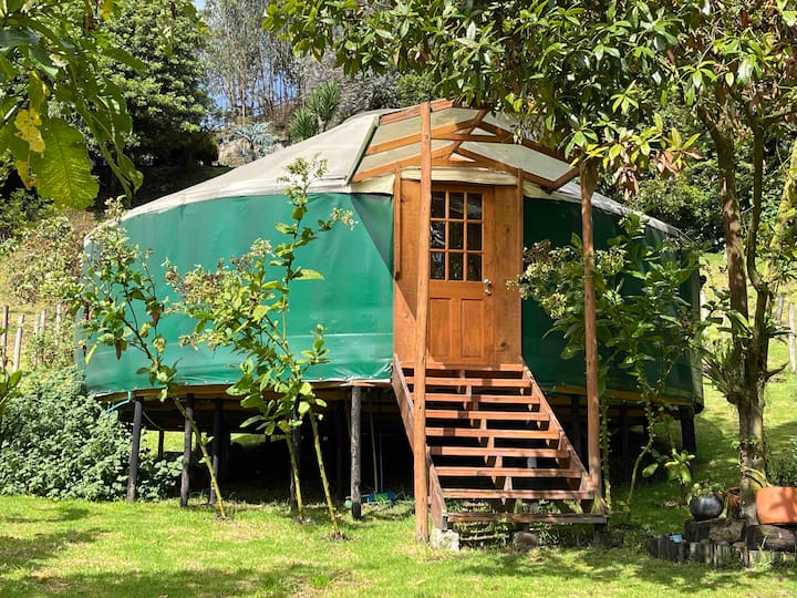 Tuwa Shima Oak Tree Yurt - Tenjo