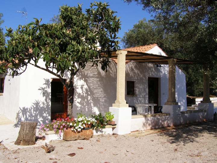Typical Apulia Country House - Casarano