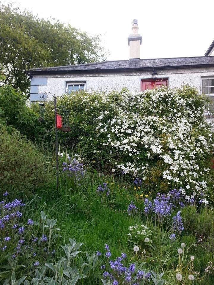 Gormanstown House Guest  Private House/apartment - County Offaly