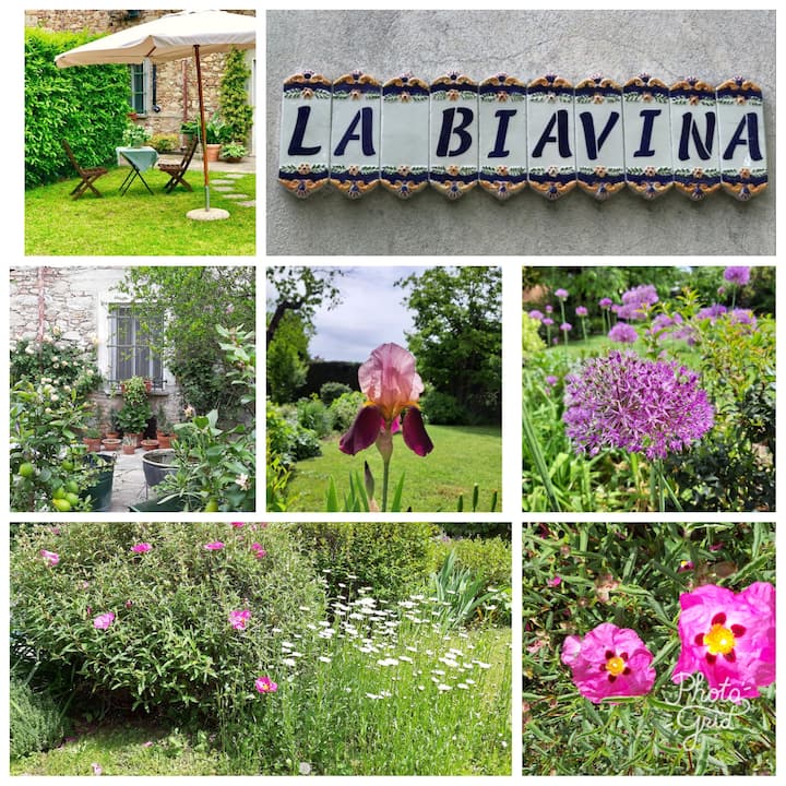 La Biavina Between Serravalle Outlet & Val Borbera - Novi Ligure