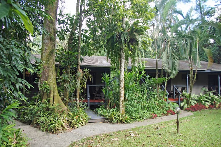 Family Escape In The Daintree Rainforest - Daintree