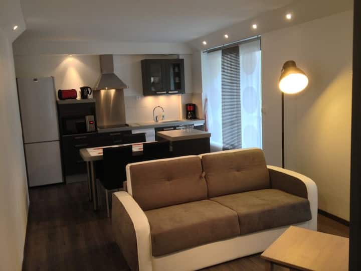 T2 Downtown Quiet Residence, Near Cures - Aix-les-Bains