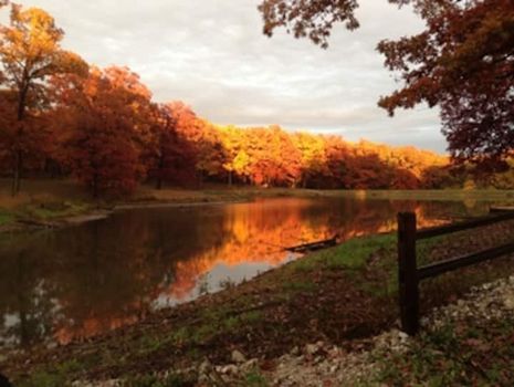 Top Airbnbs & Vacation rentals in Edina, MO cozycozy