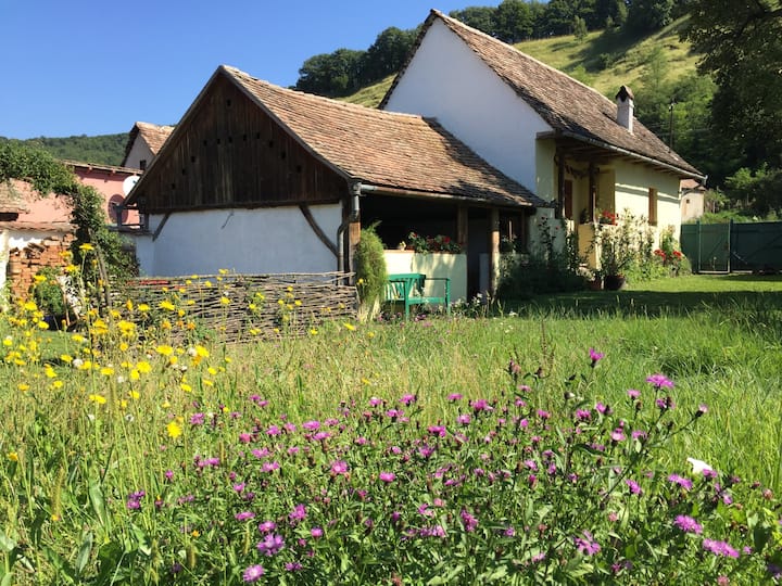 Lovingly Farmhouse In Transylvania - Alma, Romania