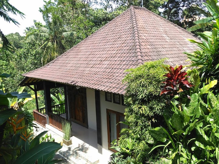 #2 2 Br Widi's House With Jungle View - Ubud