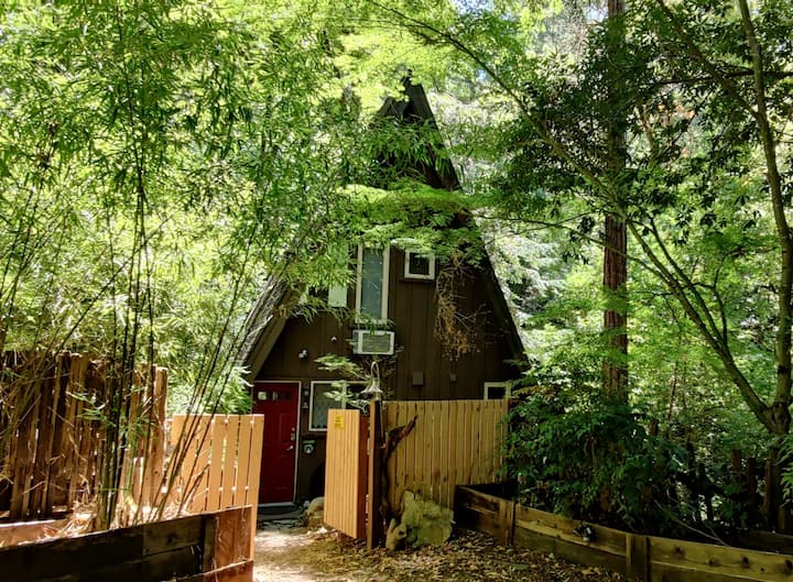 Cottage On The Creek - Private Access To Creek! - Roaring Camp, Felton